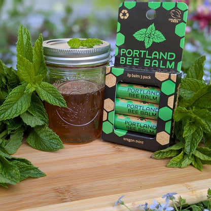 Oregon Mint Beeswax Lip Balm | Portland Bee Balm by Rust & Cinder