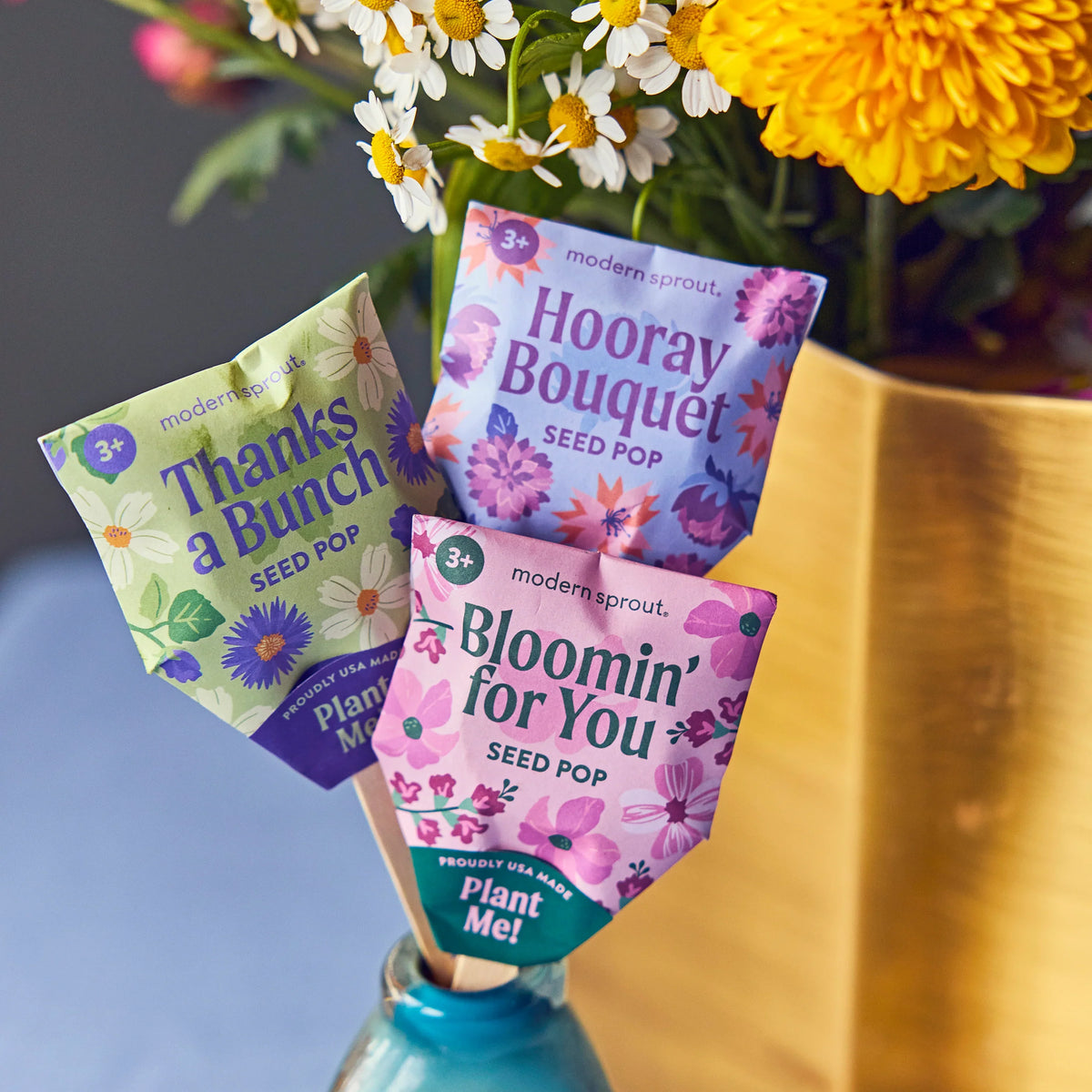 Plantable Wildflower Seed Pop Gift | Modern Sprout by Rust & Cinder