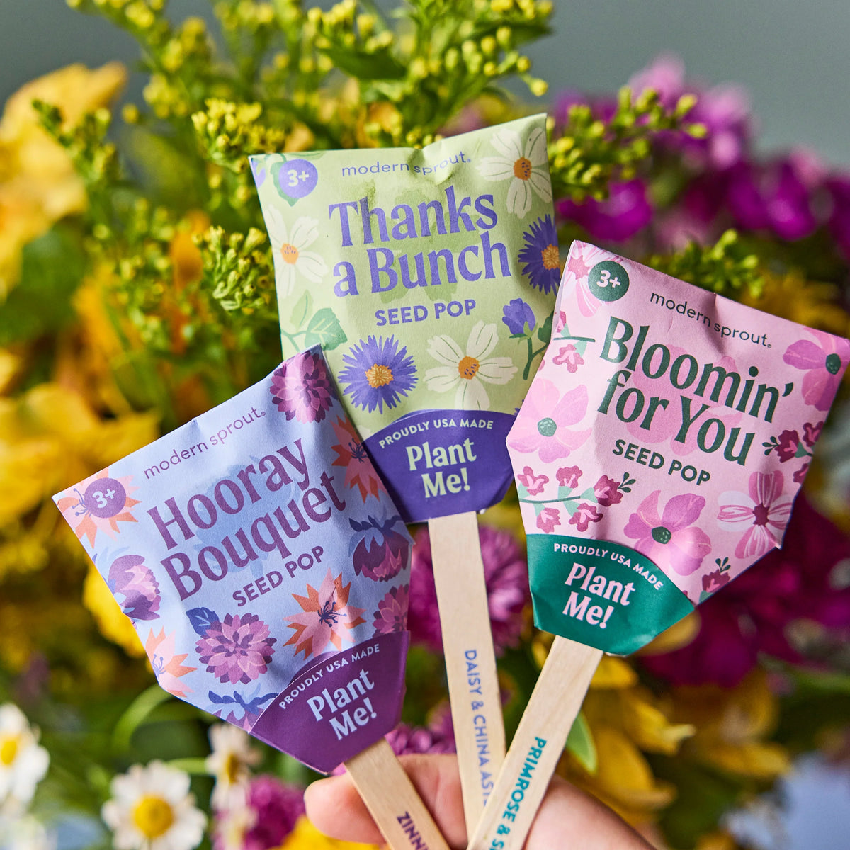Plantable Wildflower Seed Pop Gift | Modern Sprout by Rust & Cinder