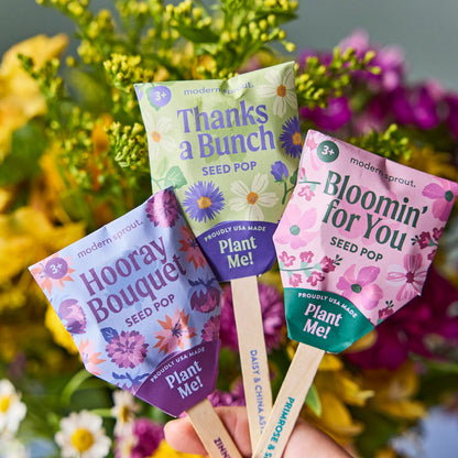Plantable Wildflower Seed Pop Gift | Modern Sprout by Rust & Cinder