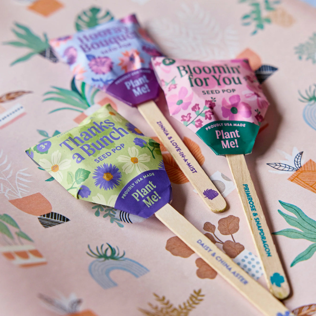 Plantable Wildflower Seed Pop Gift | Modern Sprout by Rust & Cinder