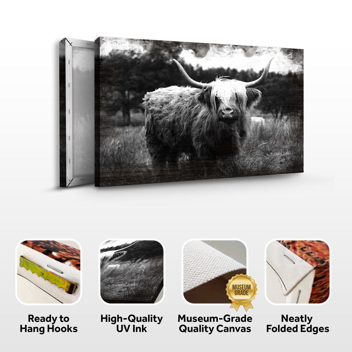 Highland Cattle Monochrome Canvas Wall Art by Tailored Canvases