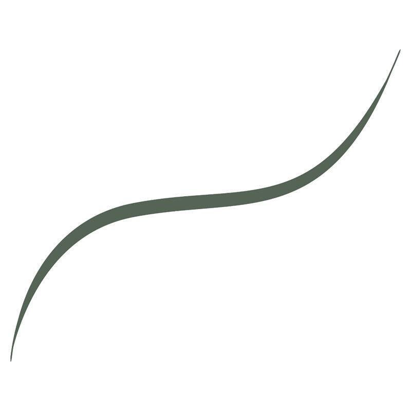 Loreal Paris Infaillible Sage Green Eyeliner: 36H Grip Micro-Fine, Smudge & Waterproof Precision for Sensitive Eyes by Beauty Care Bag