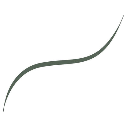 Loreal Paris Infaillible Sage Green Eyeliner: 36H Grip Micro-Fine, Smudge & Waterproof Precision for Sensitive Eyes by Beauty Care Bag