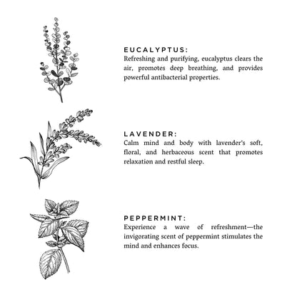 Of The Sea - Eucalyptus + Lavender + Peppermint by Slow North