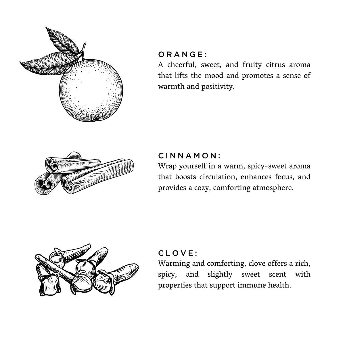 Orange + Clove - Signature Soy Candle by Slow North