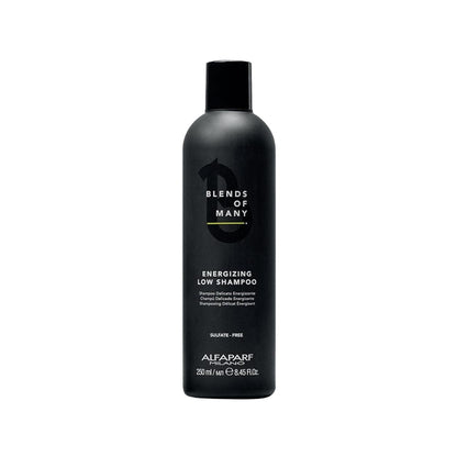 Alfaparf Blends Of Many Energizing Shampoo for Weak Hair 250 ml by Beauty Care Bag