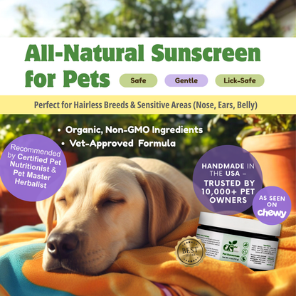 SUN CARE KIT by ReNewedPet