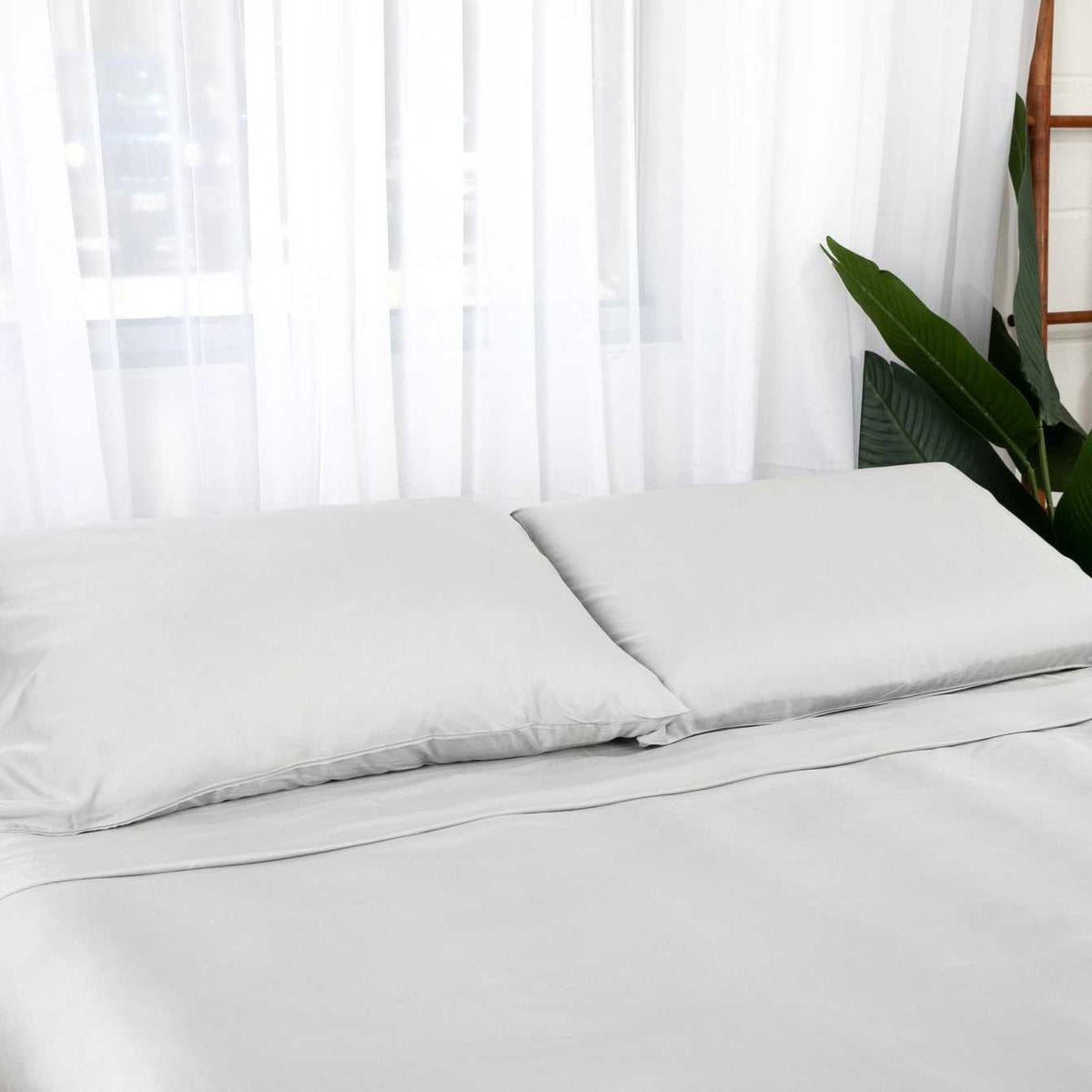 Bamboo Viscose Pillowcase (Set of 2) by Pure Fiber