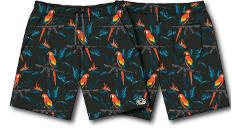 Men's Performance Training Shorts | 5.5"- Polly's Packing by Tango Charlie Apparel