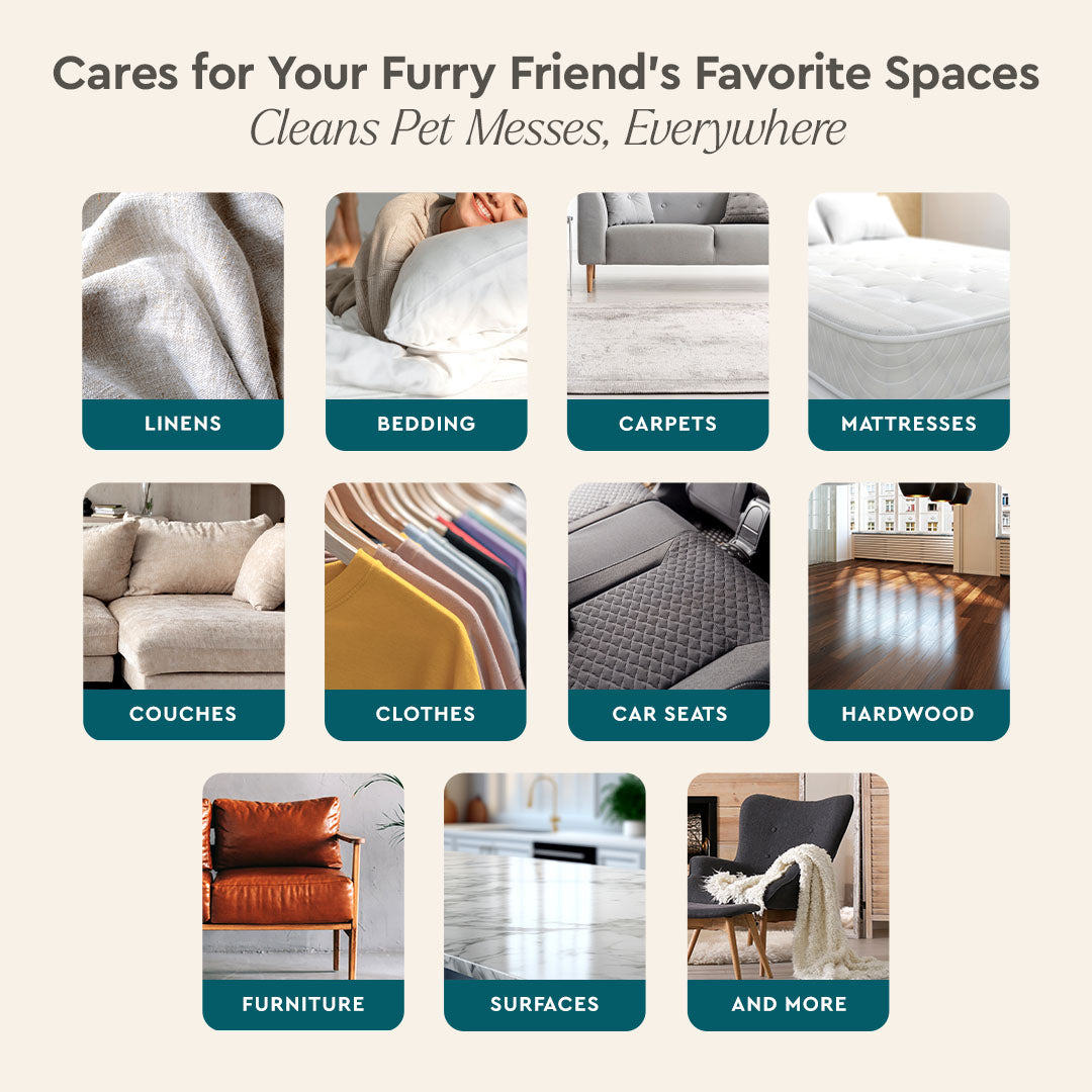 Pet stain and odor remover – view 14