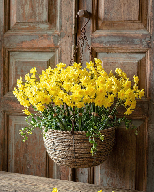 Buttercup Narcissus Flower Bunch by Rust & Cinder