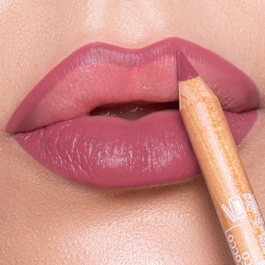Astra Pure Beauty Lip Pencil 06 for Precise Definition by Beauty Care Bag