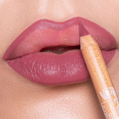 Astra Pure Beauty Lip Pencil 06 for Precise Definition by Beauty Care Bag
