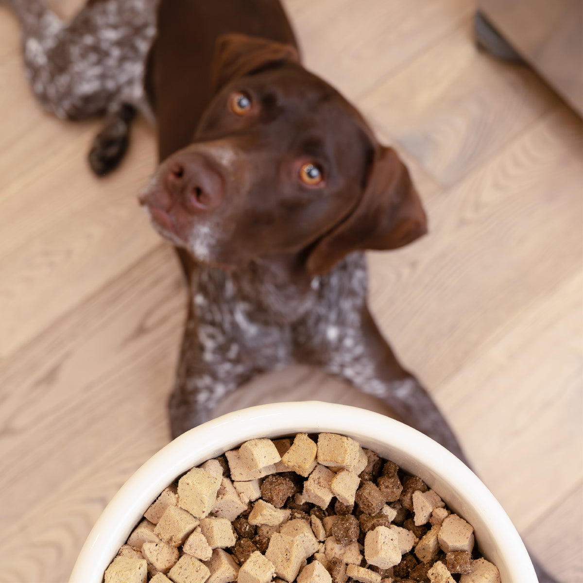 Beef Dog Food Topper by West Paw