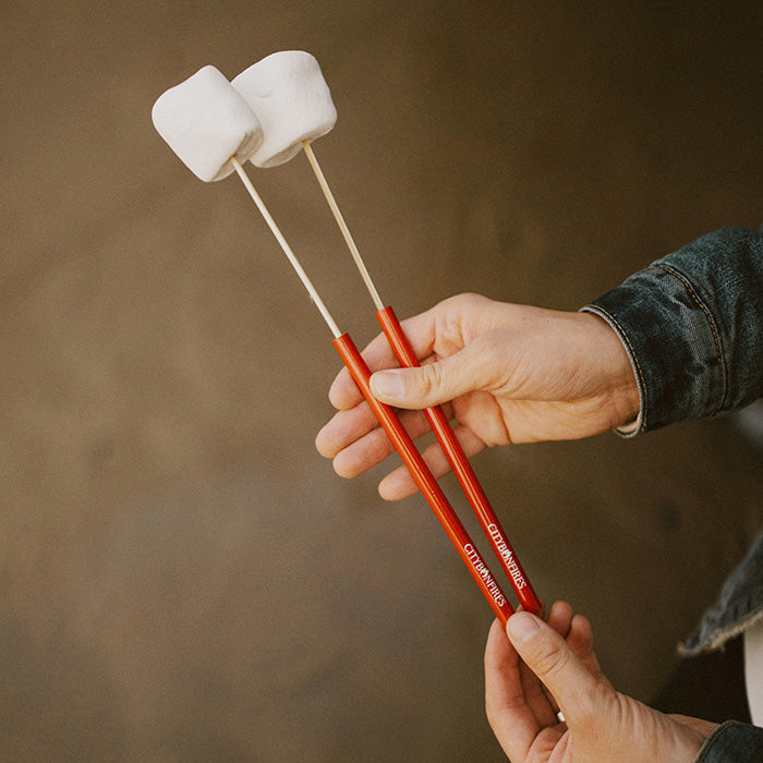 Portable Reusable Skewer 4 Pack by City Bonfires