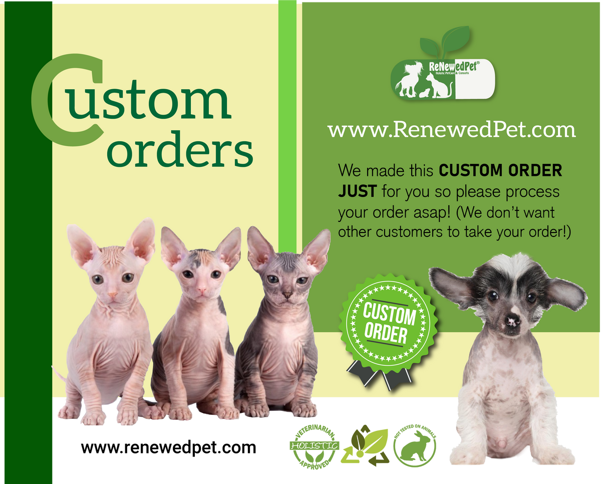 (1) sample 4- hairless cats kit - envelope bamboo brush by ReNewedPet