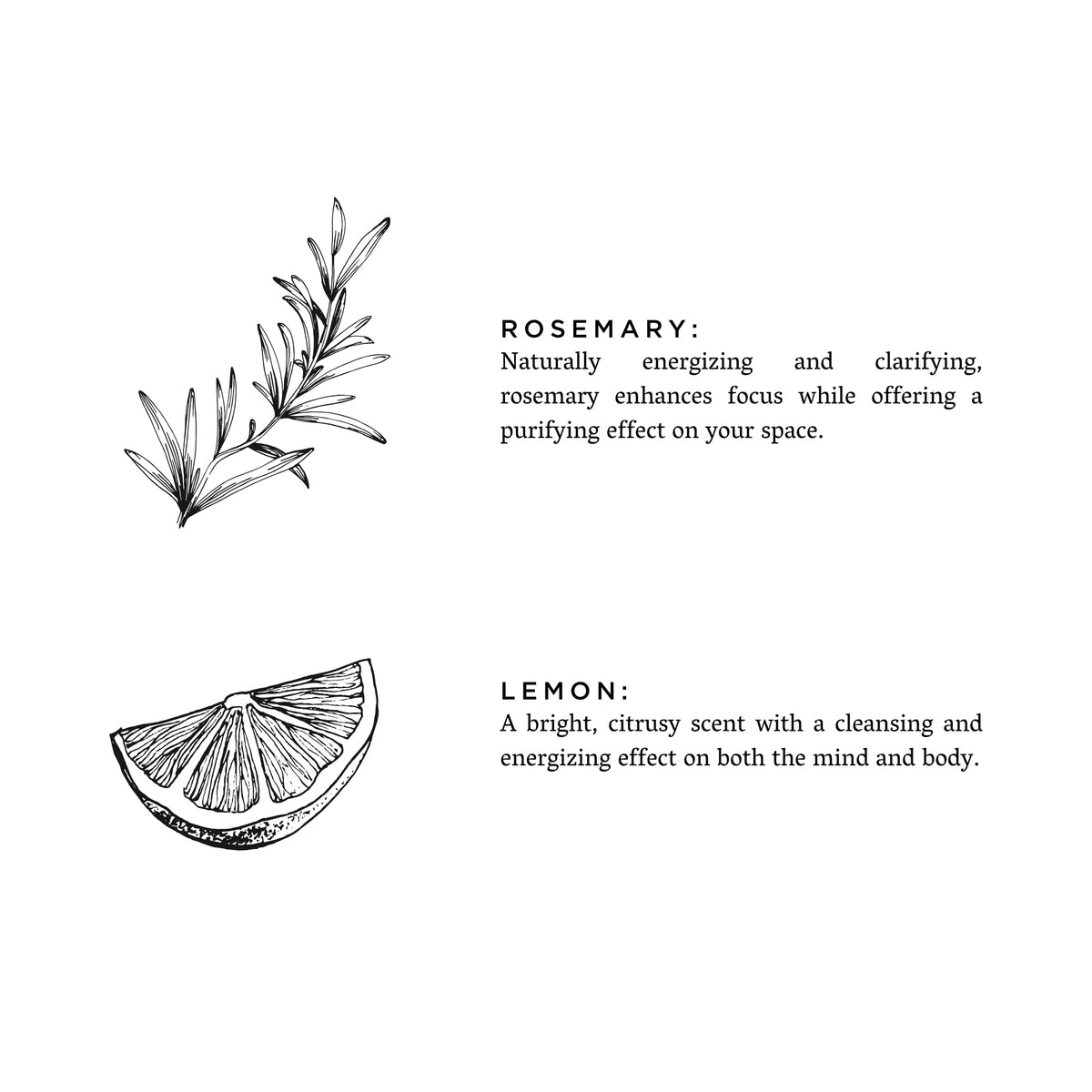 Rosemary + Lemon by Slow North