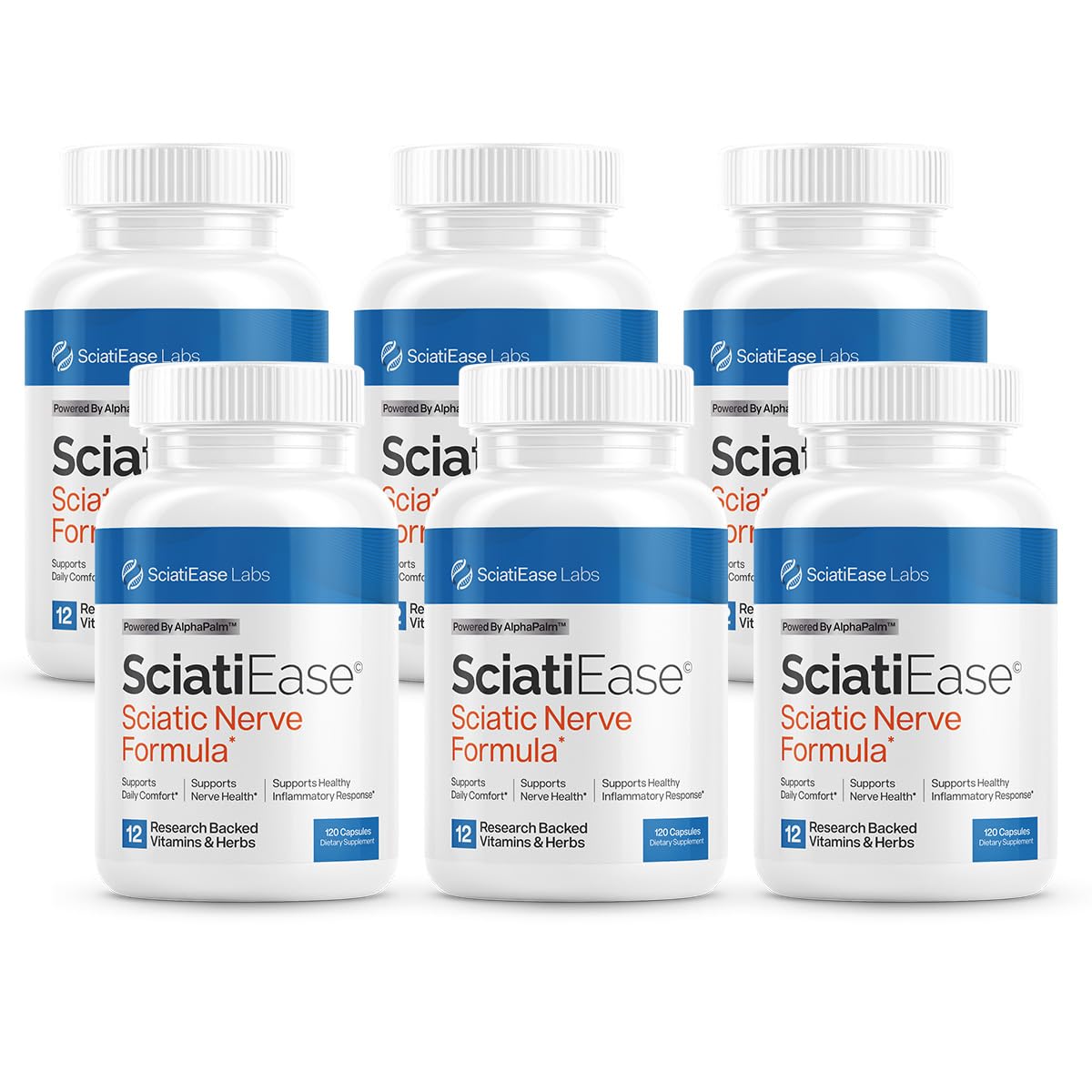 SciatiEase Nerve Support Supplement by Shahmori