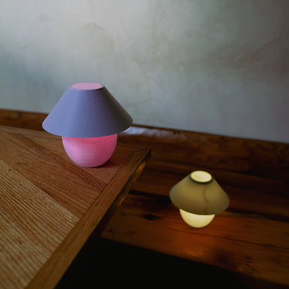 Scoop Lamp by Wooj Design