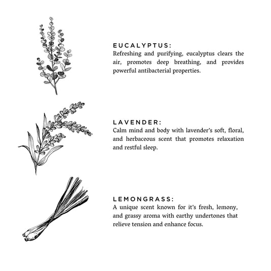 Shangri-La - Eucalyptus + Lavender + Lemongrass by Slow North