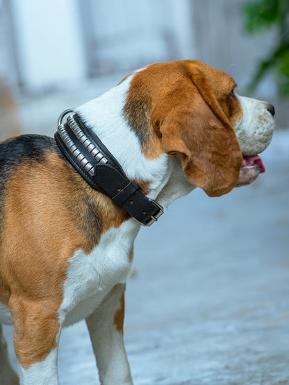 Leather Collar with Designer Studs by Classy Leather Bags