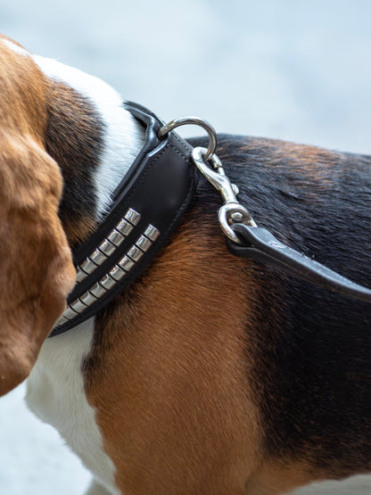 Leather Collar with Designer Studs by Classy Leather Bags