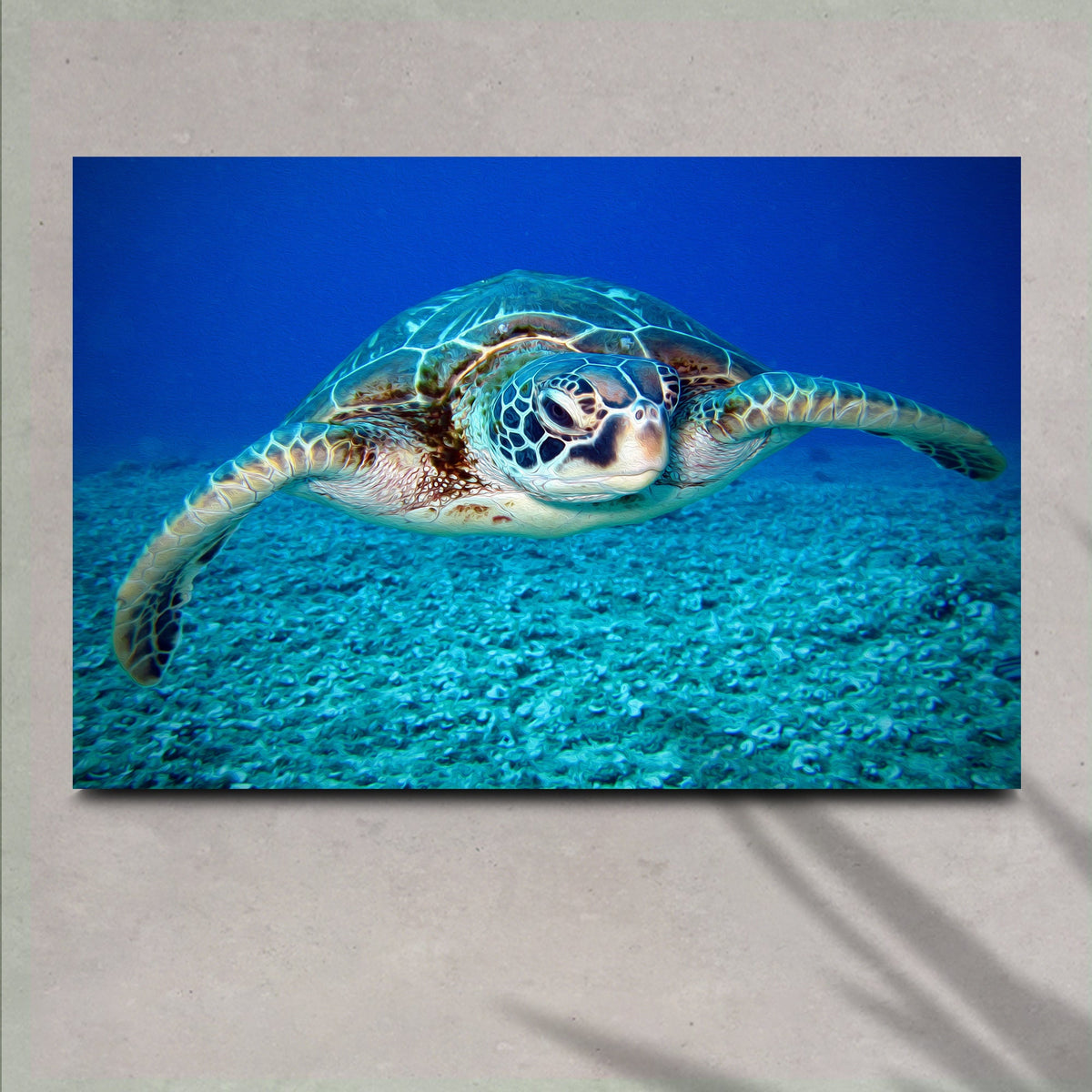 Green Sea Turtle Canvas Wall Art by Tailored Canvases
