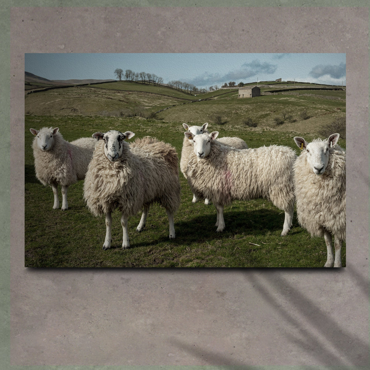Flock Of Sheep Canvas Wall Art by Tailored Canvases