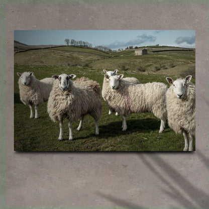 Flock Of Sheep Canvas Wall Art by Tailored Canvases