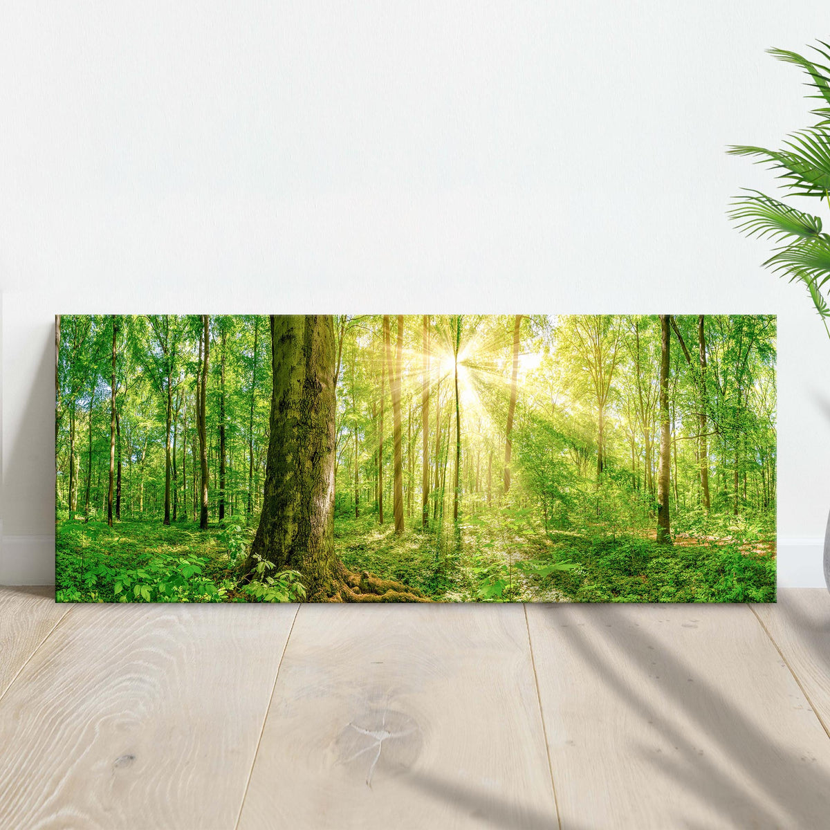 Golden Rays Into The Forest Canvas Wall Art by Tailored Canvases
