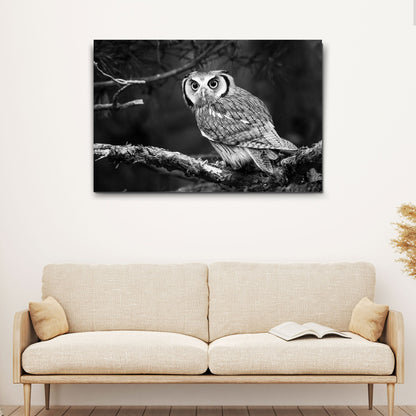 Black And White Owl Canvas Wall Art by Tailored Canvases
