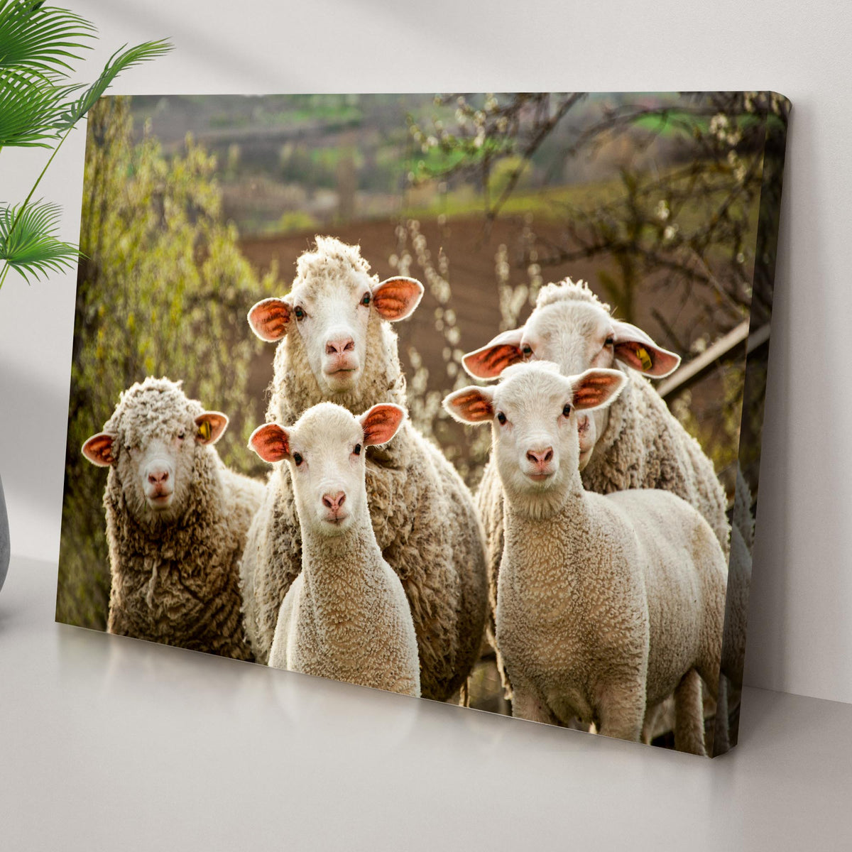 Curious Sheep Canvas Wall Art by Tailored Canvases