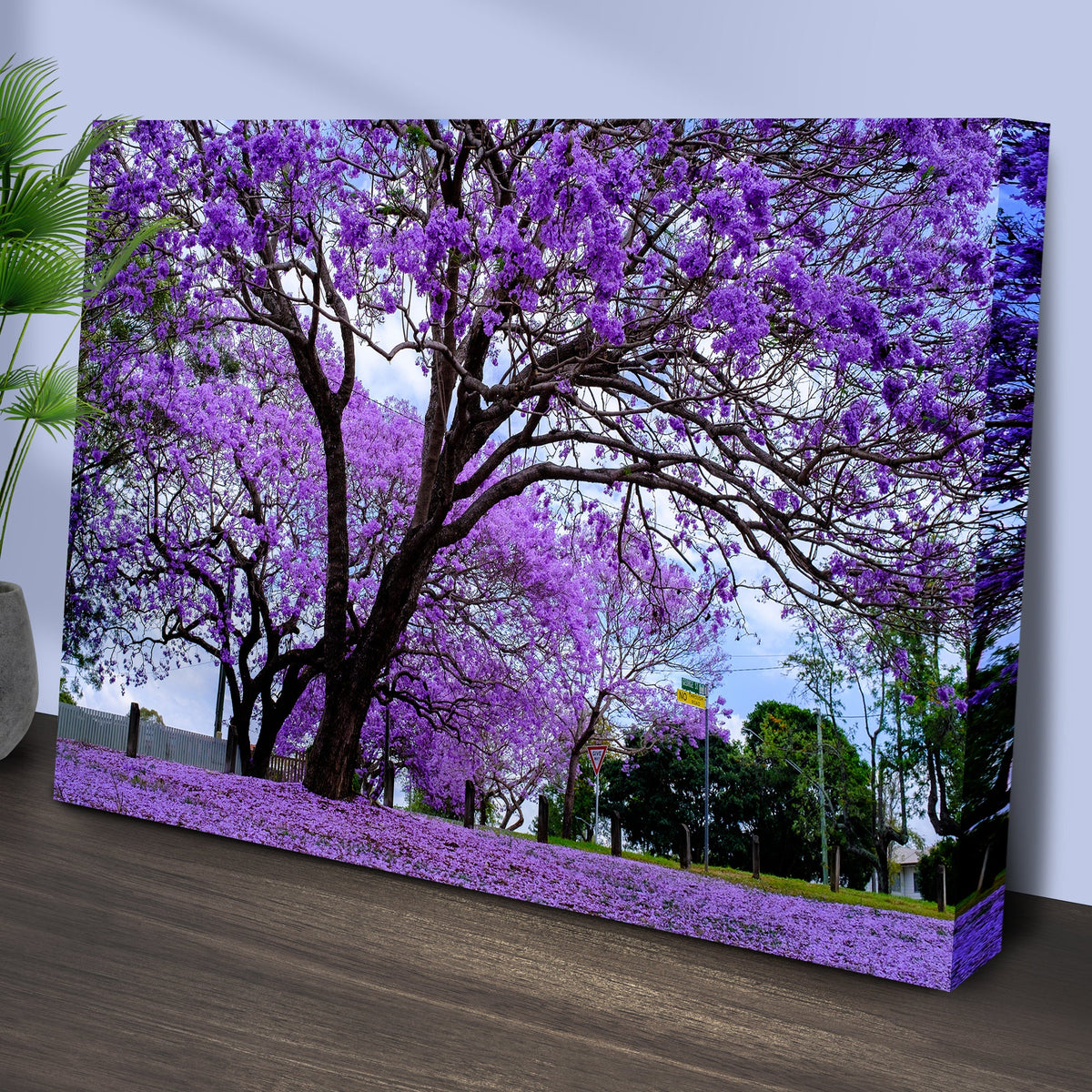 Jacaranda Trees Canvas Wall Art by Tailored Canvases