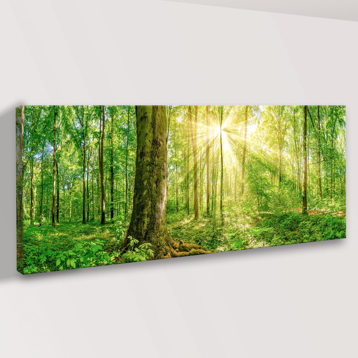 Golden Rays Into The Forest Canvas Wall Art by Tailored Canvases