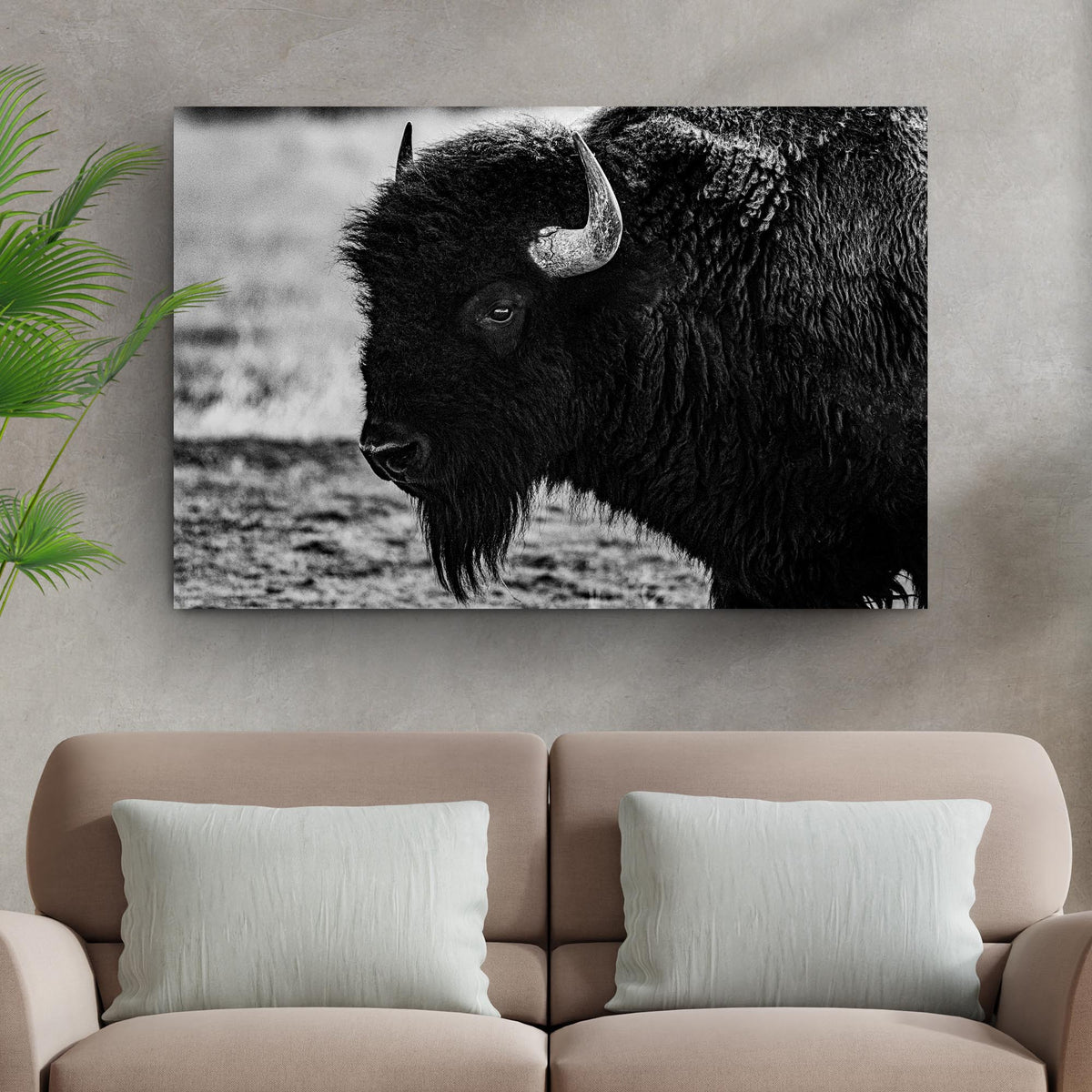 Black and White Bison Canvas Wall Art by Tailored Canvases