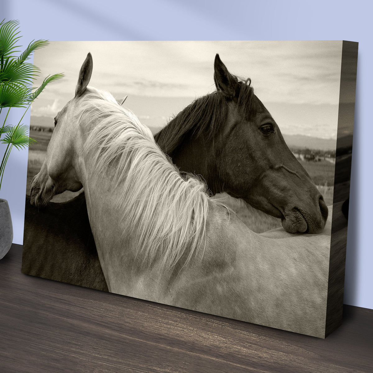 Monochrome Couple Horse Canvas Wall Art by Tailored Canvases
