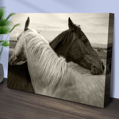 Monochrome Couple Horse Canvas Wall Art by Tailored Canvases
