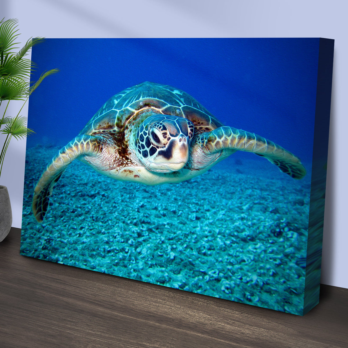 Green Sea Turtle Canvas Wall Art by Tailored Canvases
