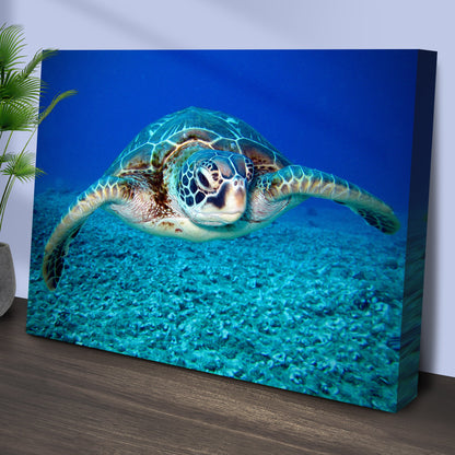 Green Sea Turtle Canvas Wall Art by Tailored Canvases