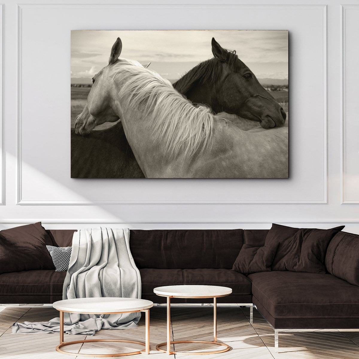Monochrome Couple Horse Canvas Wall Art by Tailored Canvases