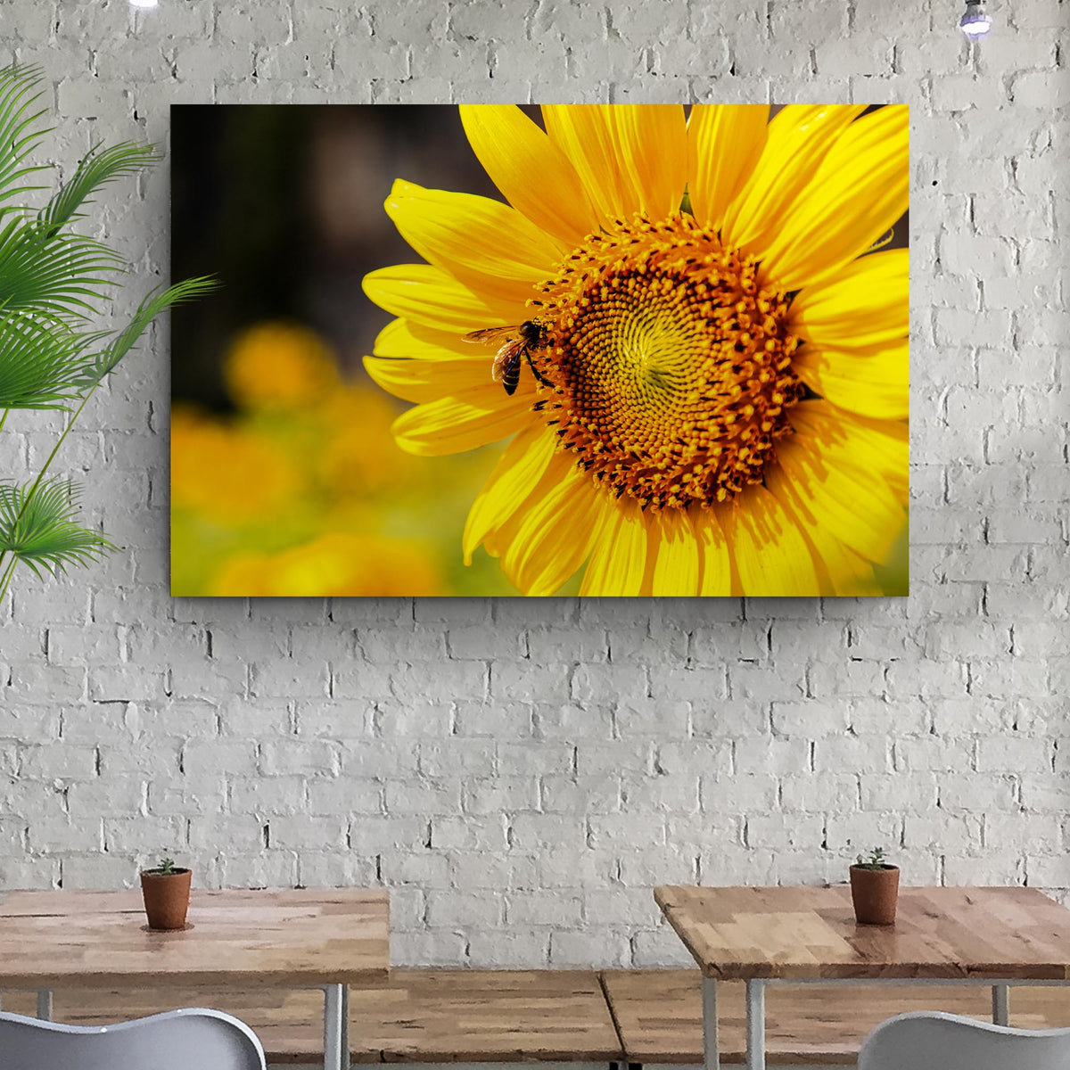 Bee On Sunflower Canvas Wall Art by Tailored Canvases