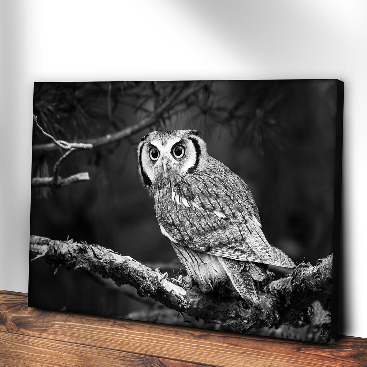 Black And White Owl Canvas Wall Art by Tailored Canvases