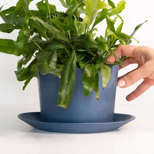 Oval porcelain planter – view 2