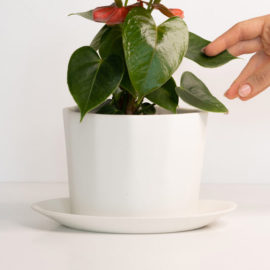 Handmade geometric oval porcelain planter with tray