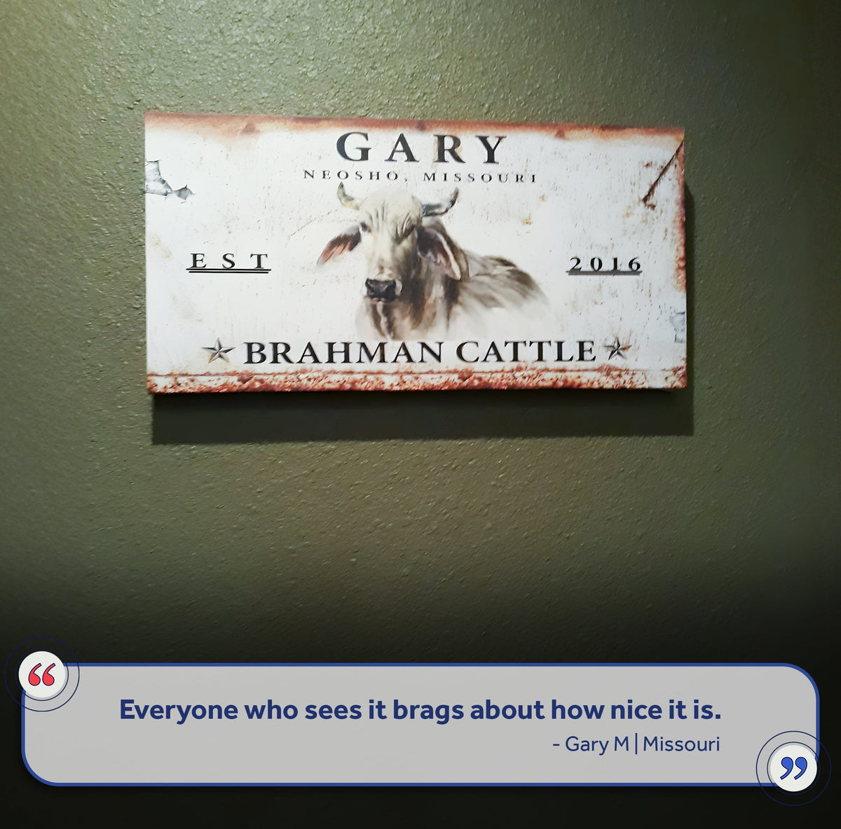 Brahman Cattle Sign II by Tailored Canvases