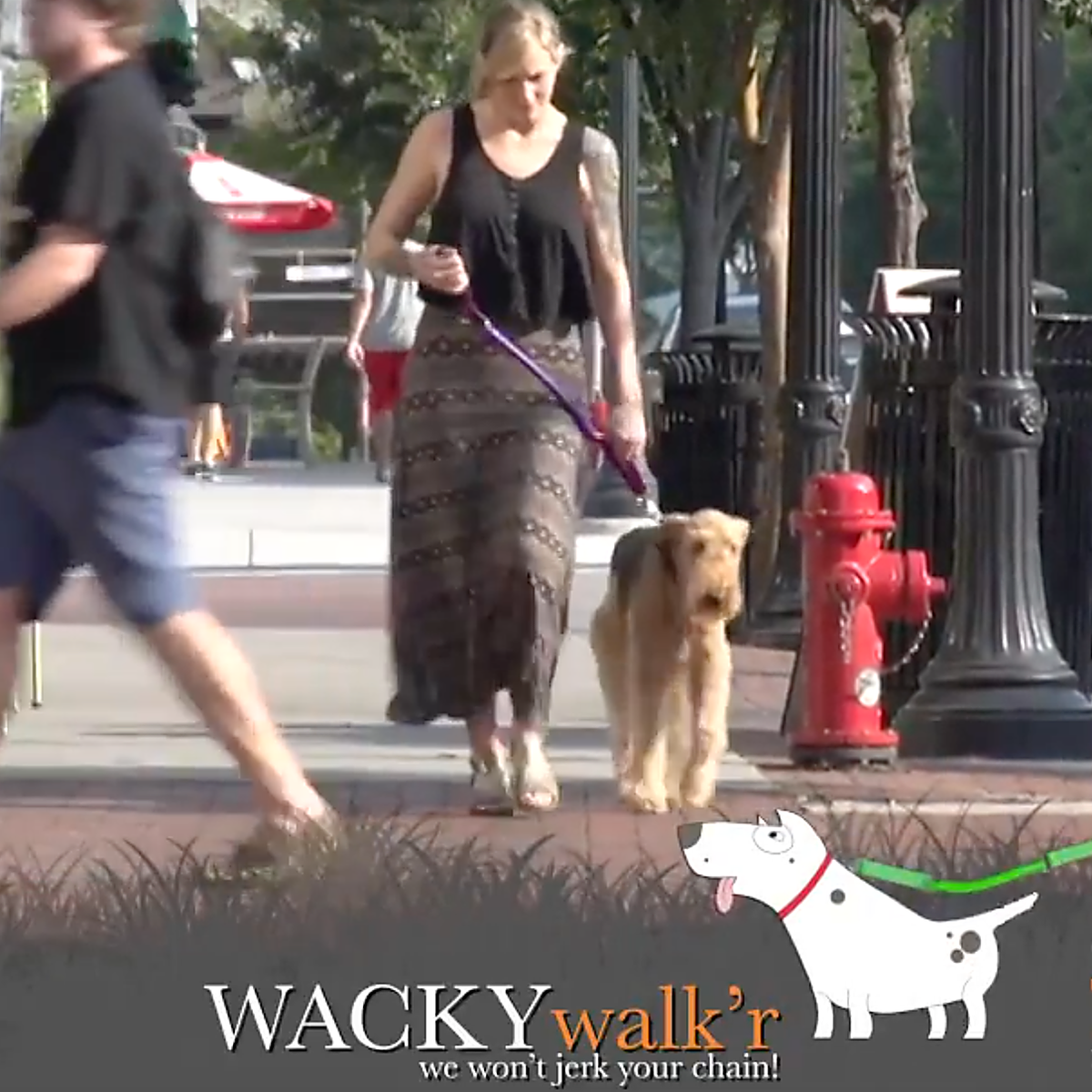 Urban Walk'r - Shorter No Pull Leash by WACKYstore