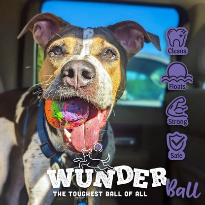 WUNDERball - Best Fetch Toy by WACKYstore