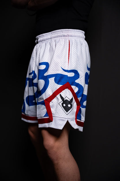 Yamato retro anime basketball mesh shorts