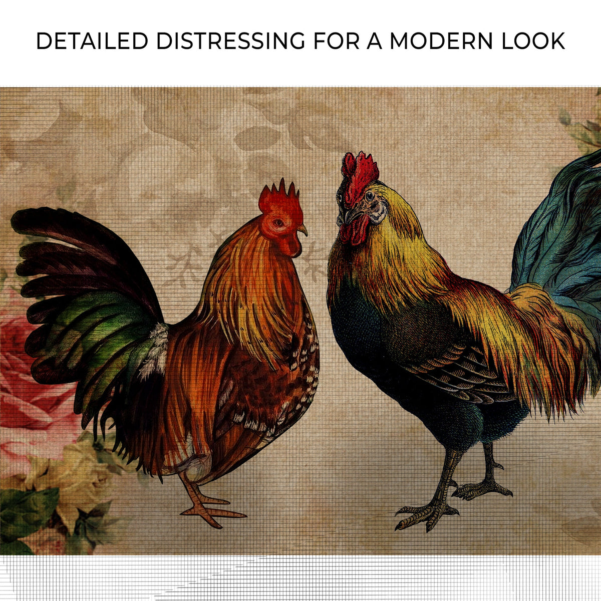 Retro Rooster Chicken Canvas Wall Art by Tailored Canvases